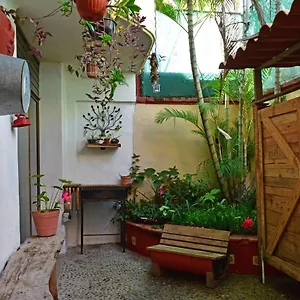 My Local Vallarta Bed & Breakfast Puerto Vallarta